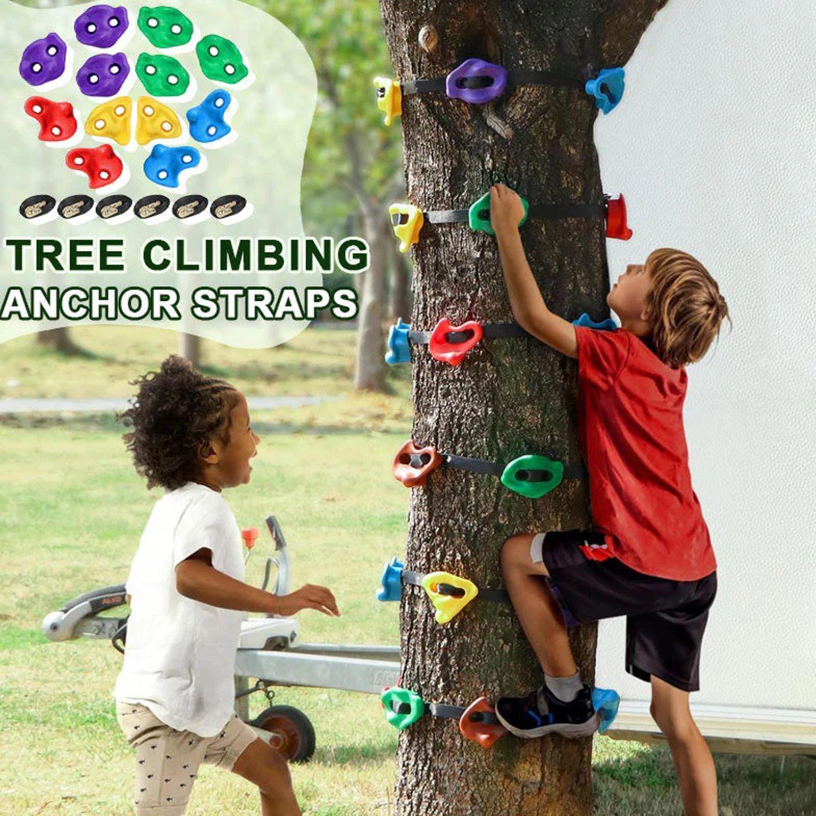 Outdoor Adventure Store - Attrezzatura per Arrampicata su Alberi, Percorso