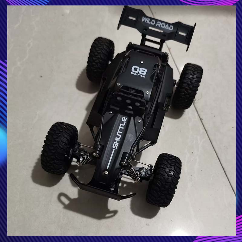 Outdoor Adventure Toys - Auto RC 1:16 ad Alta Velocità,