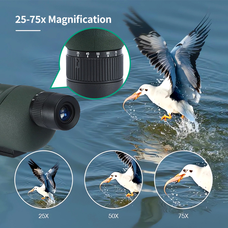 25-75x60 cannocchiale Zoom tel - Outdoor Adventure Watches recensione e prezzo